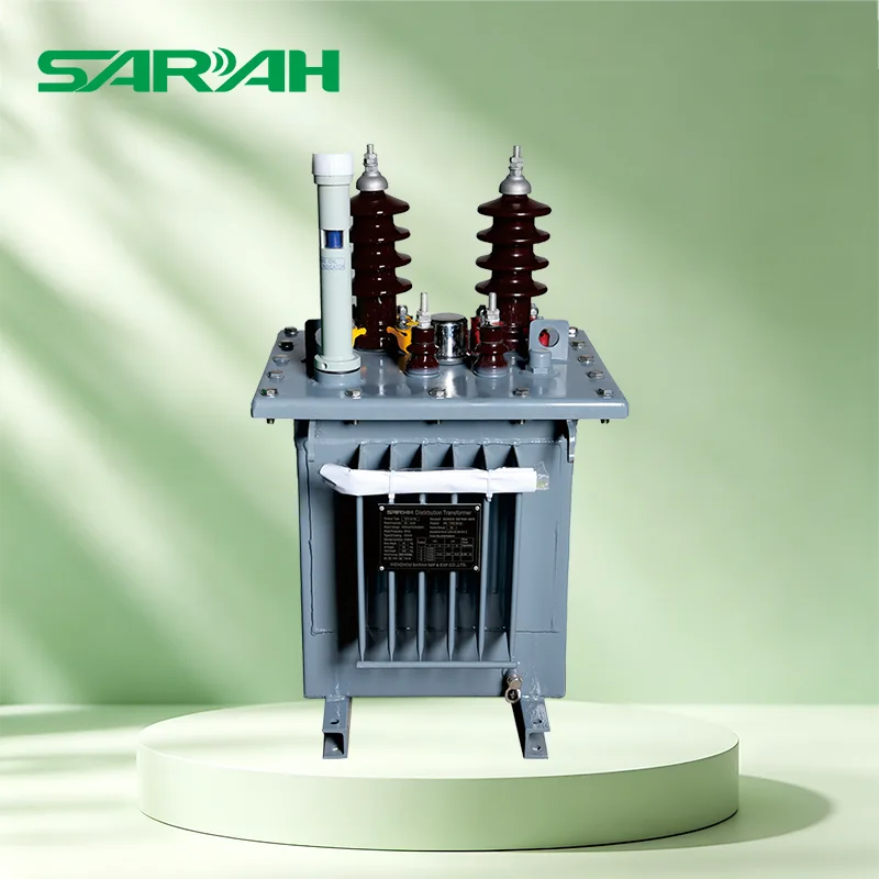 หม้อแปลงไฟฟ้าระบบจำหน่าย 24KV